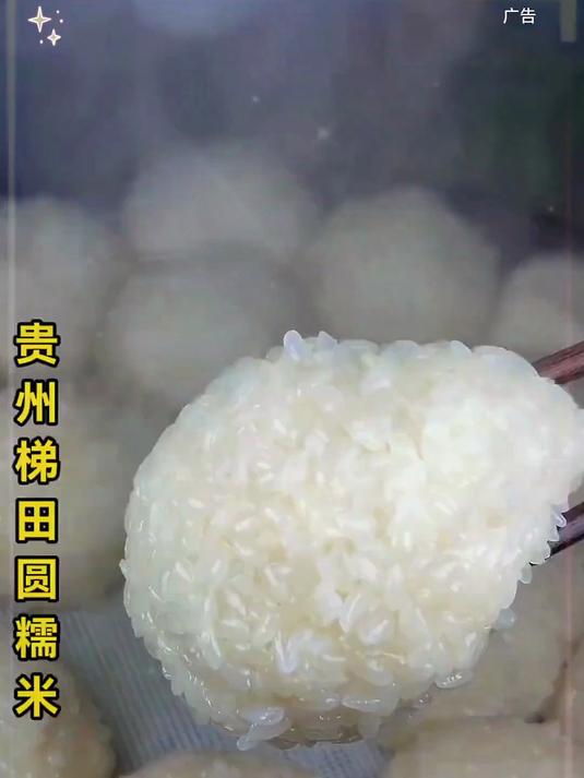 贵州梯田圆糯米颗颗饱满口感软糯香甜包粽子蒸糯米饭打糍粑
