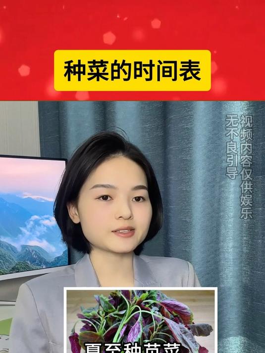 种菜的时间表