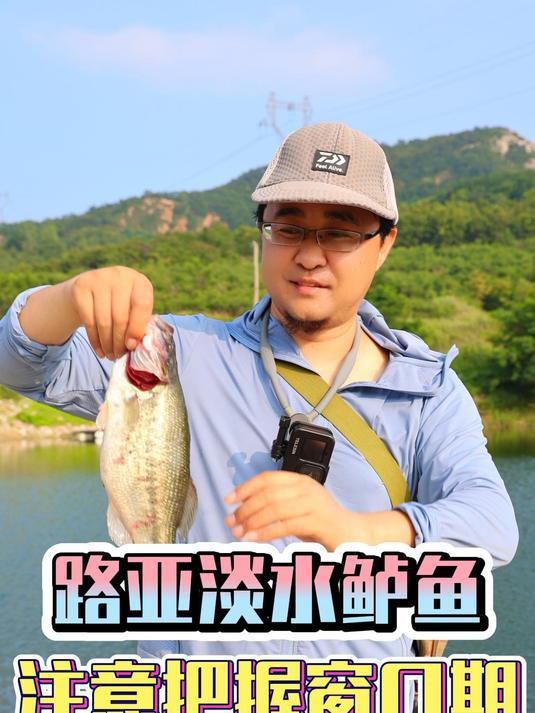 什么时候是淡水路亚鲈鱼的窗口期?