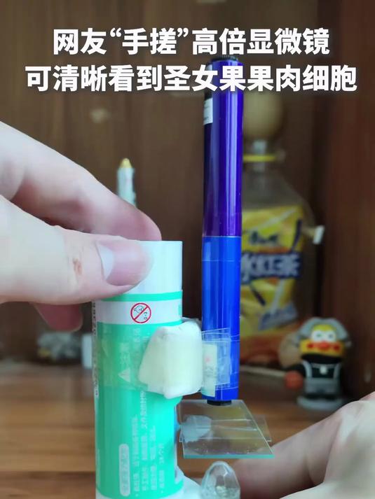 这也能“手搓”?网友自制显微镜,放大观察圣女果果肉细胞