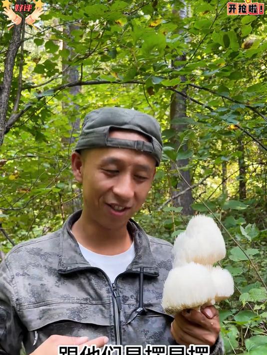 精选品质上乘猴头菇，无杂质异味，快递直达你手中