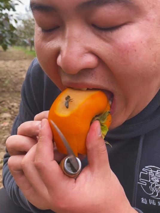 嘎嘣脆甜的巧克力脆柿子真好吃