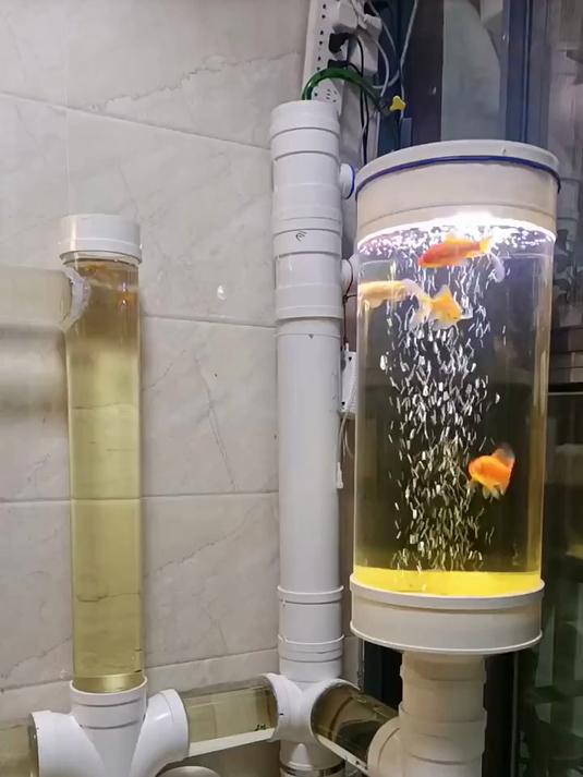 水管养鱼