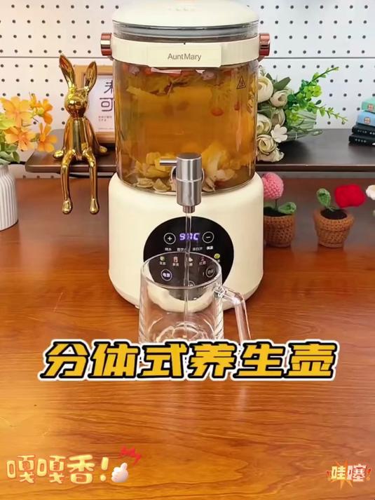 注意看,现在的养生壶居然能够放冰箱里,喝冰镇水果茶太方便了#养生壶#