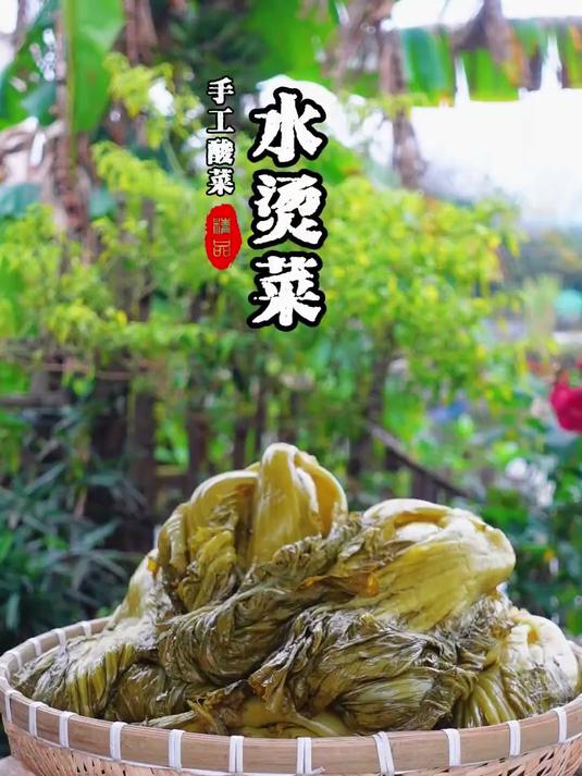 正宗四川老坛酸菜