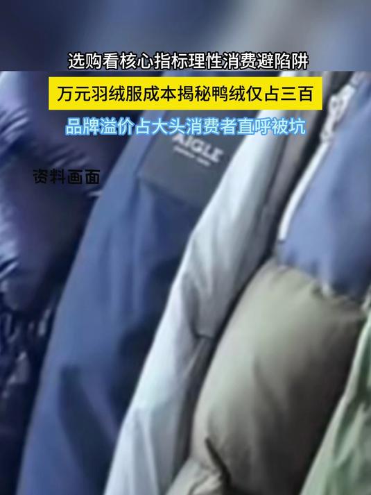 万元羽绒服成本揭秘,鸭绒仅占三百,品牌溢价占大头