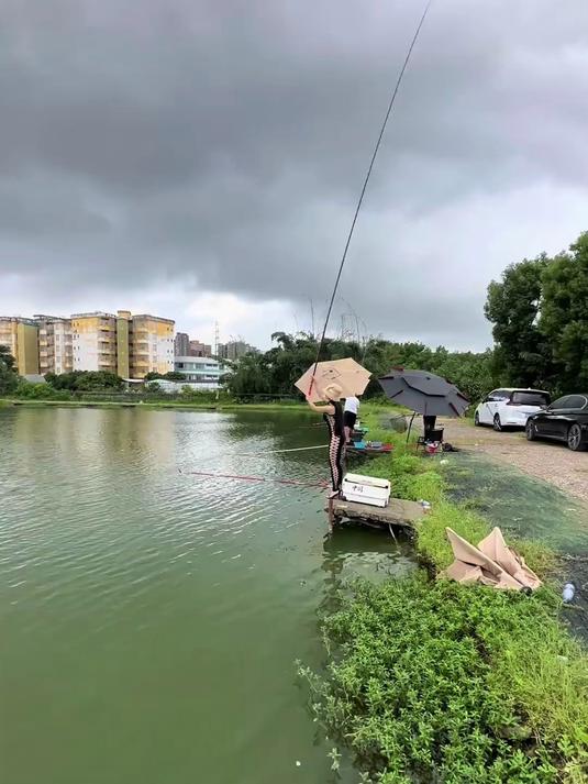 江河湖库钓大鱼,千川鲤鱼竿鲢鳙杆抛投顺、回鱼快,新手必入