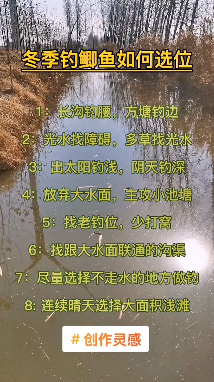 冬季钓鱼钓位选择总结