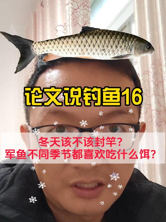 冬天该不该封竿?军鱼不同季节都喜欢吃什么饵?