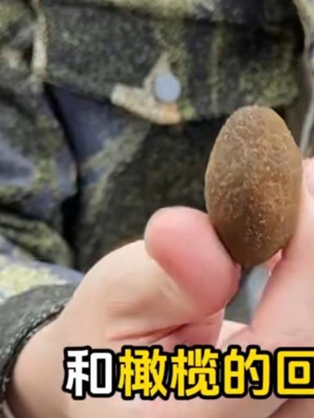开车必备!一颗甘草橄榄赶走困意还润喉