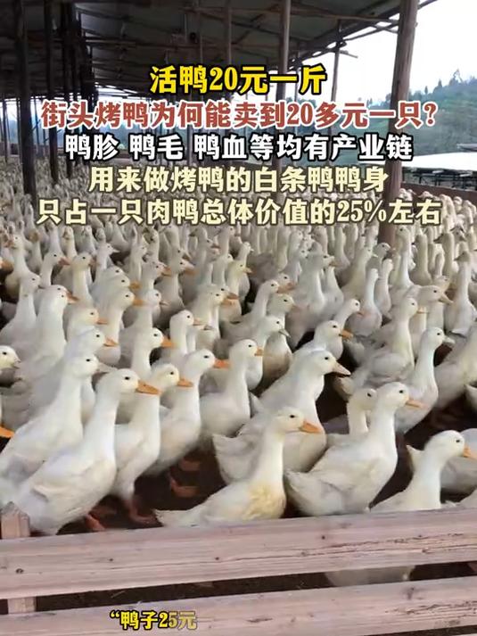 活鸭20元一斤,街头烤鸭为何能卖到20多元一只?