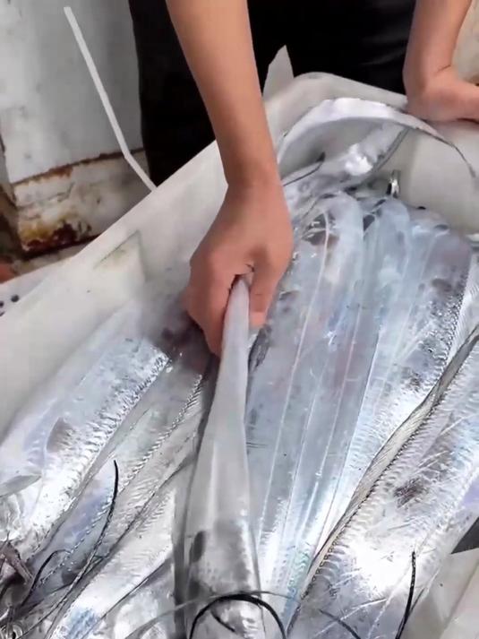 新鲜带鱼段，肉质紧实，厨房做菜不麻烦