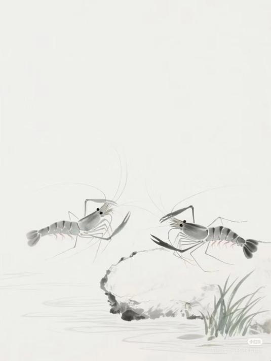 可爱小虾米#馋猫虾米粒#