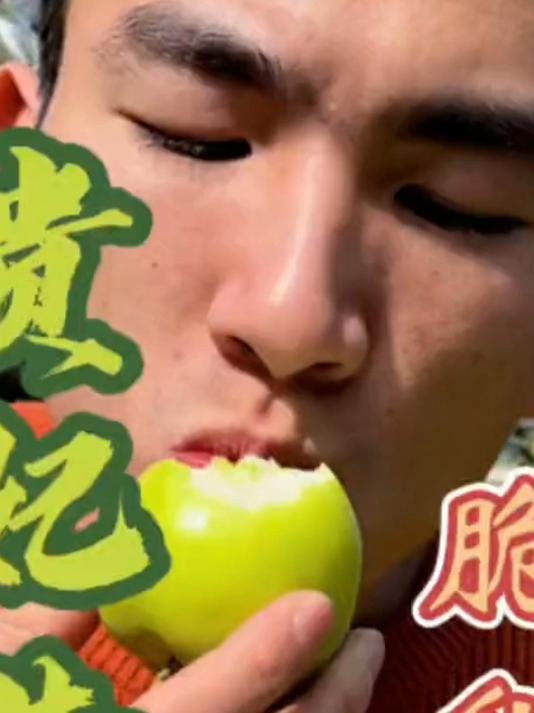 超脆超甜汁水超丰富还带奶味的牛奶大青枣太好吃了！