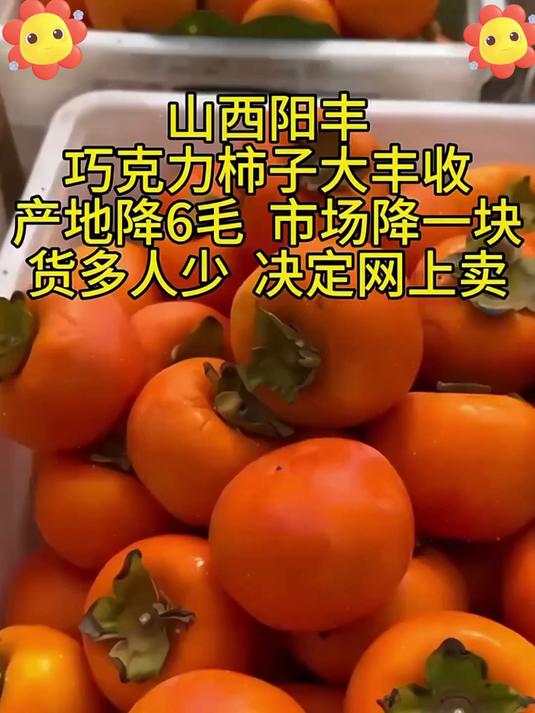 办公零食新宠！脆柿子：低卡高纤维，饿了啃一颗，解馋还不胖