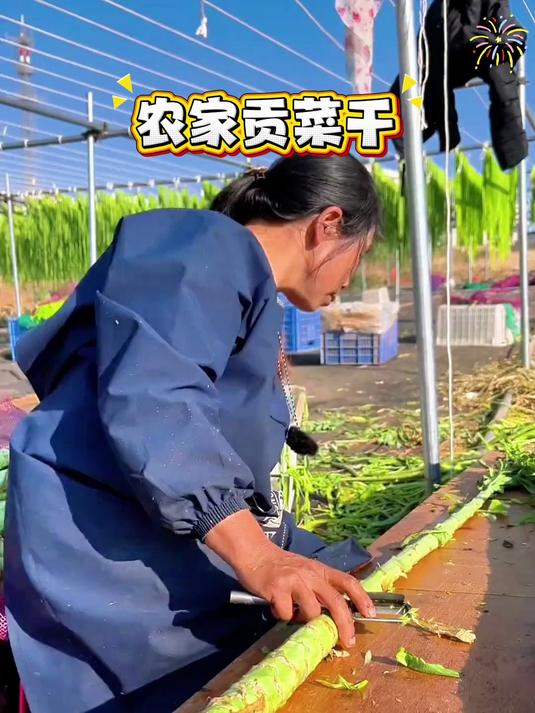 贡菜包子馅料 农家日晒 鲜脆不软烂