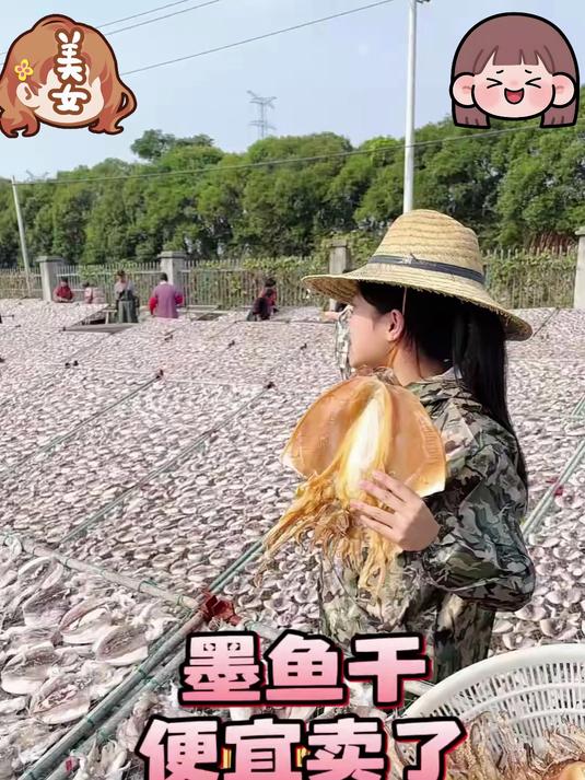 原产地的墨鱼真的不贵!墨鱼干 墨鱼干煲汤_ 墨鱼干