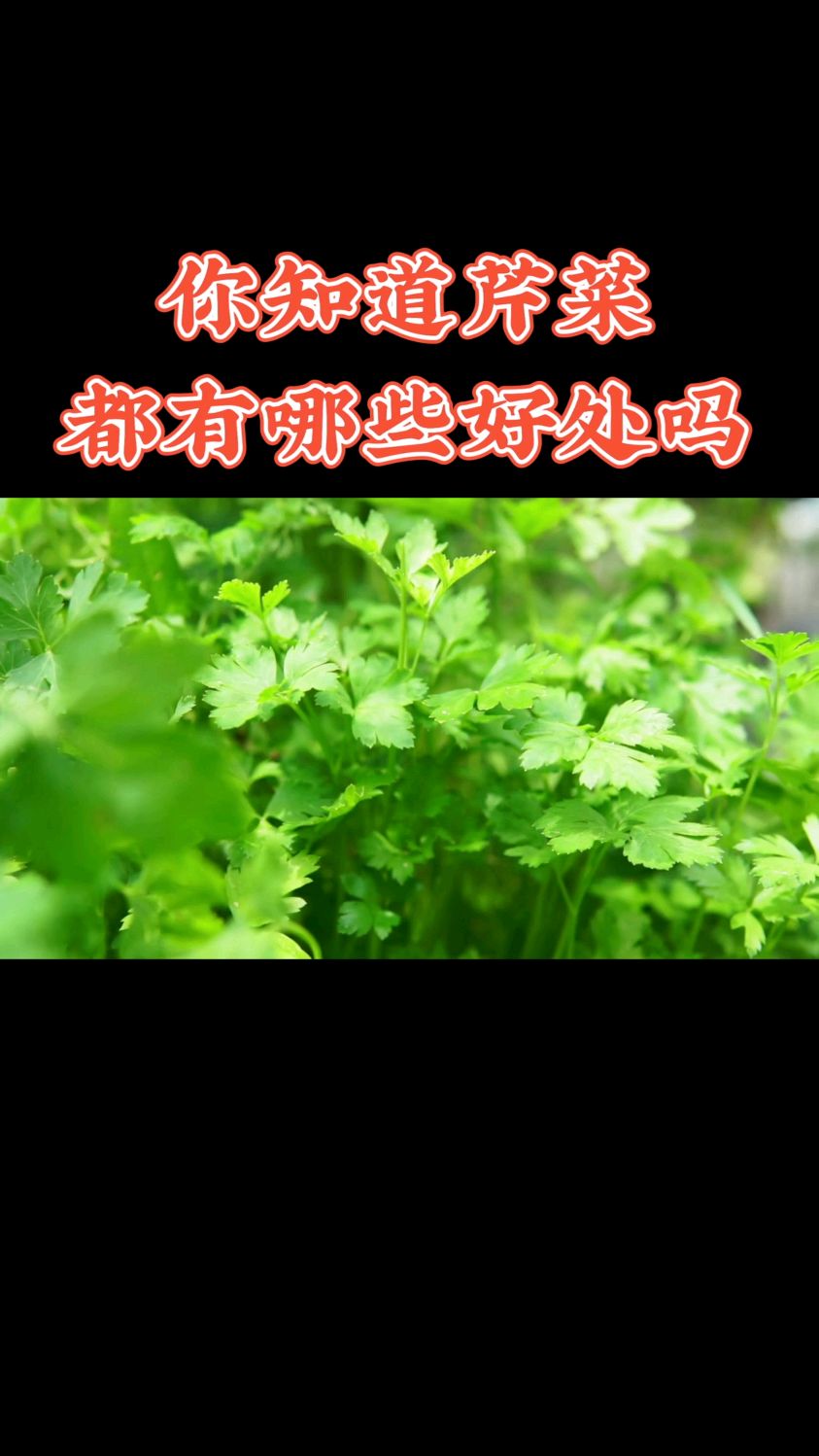 你知道芹菜都有哪些好处吗