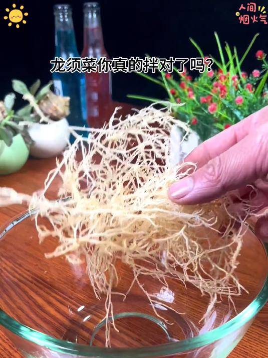 龙须菜大海里自然生长的蔬菜