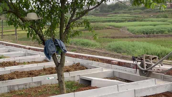 把满是泥巴的菜地改造成了田园菜园