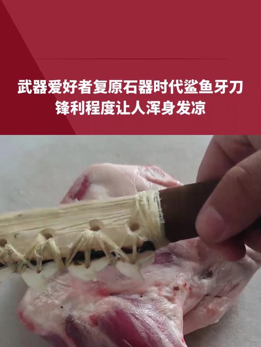 武器爱好者复原石器时代鲨鱼牙刀,锋利程度让人浑身发凉