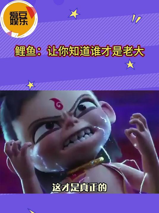 鲤鱼:让你知道谁才是老大