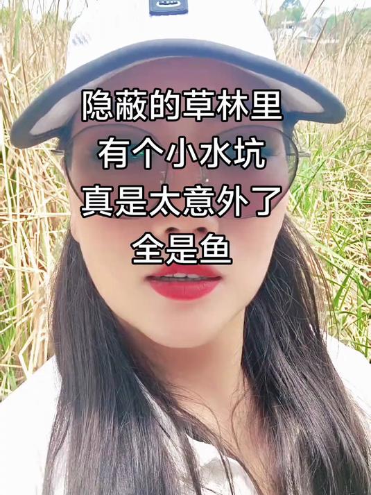 隐蔽的草林小水坑,鲫鱼都是金咖啡色的。太意外了!