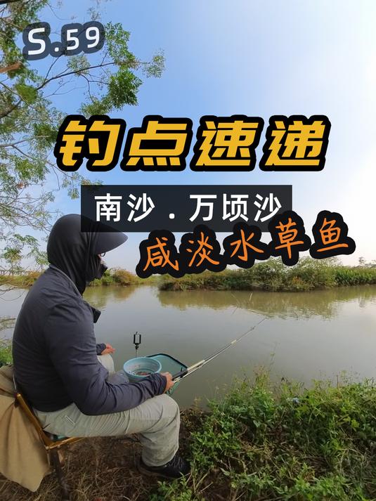 咸淡水草鱼你尝过没?不要总想着咸淡水罗非啦