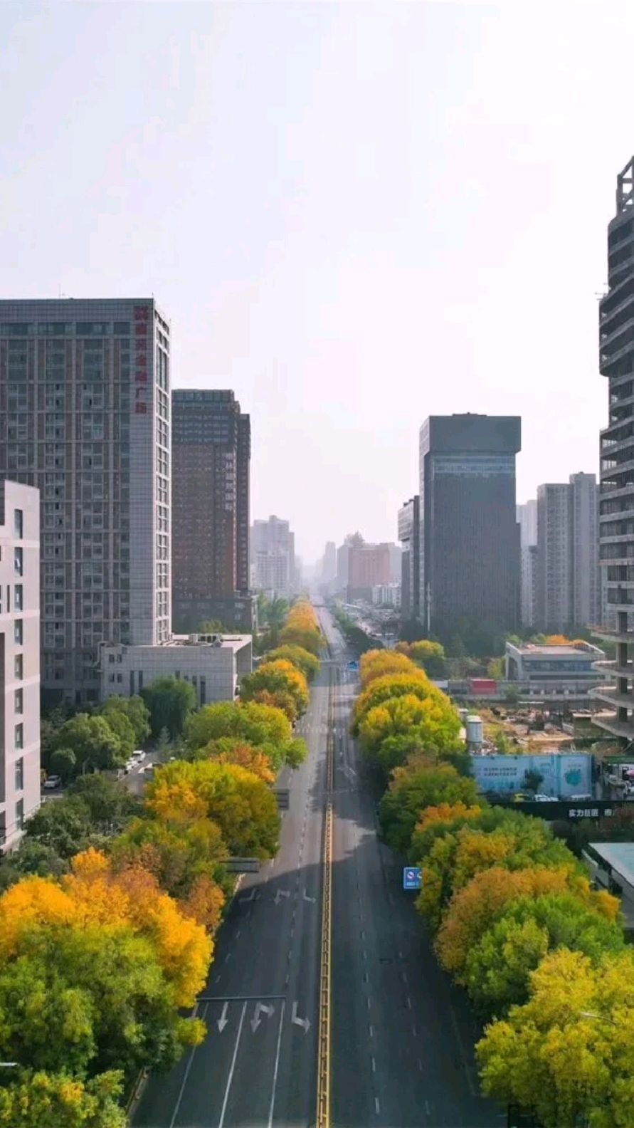 抗疫日记之静下来的郑州秋色,可以出去买菜但仍不可以上班哟。这是近22天最美好的一天