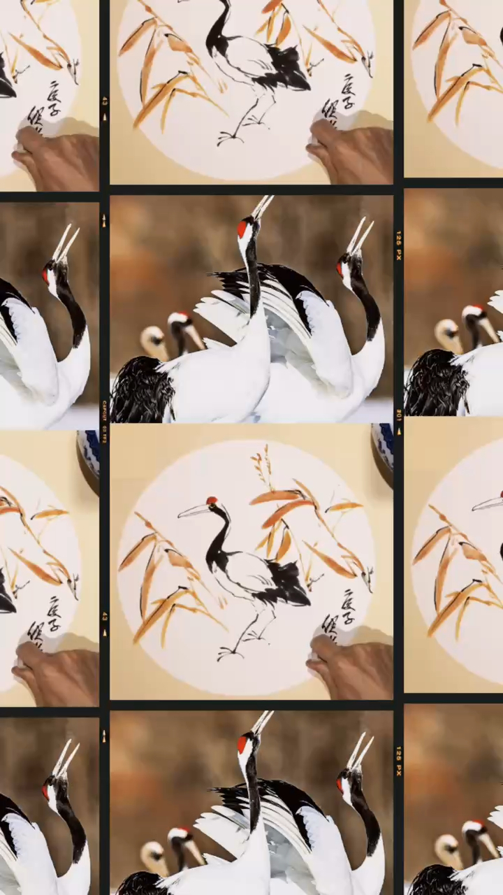 国画课件分享,写意国画丹顶鹤画法,儿童国画课件教学视频+#国画课件#国画教学