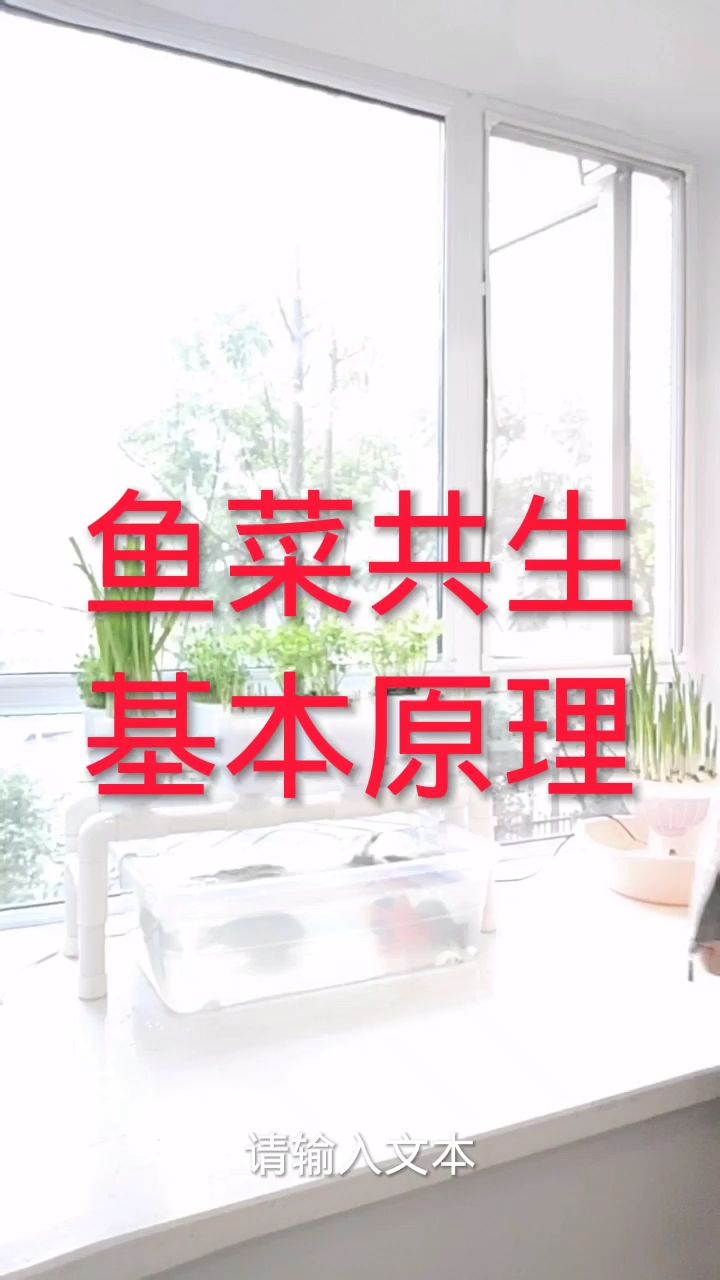 鱼菜共生基本原理来了