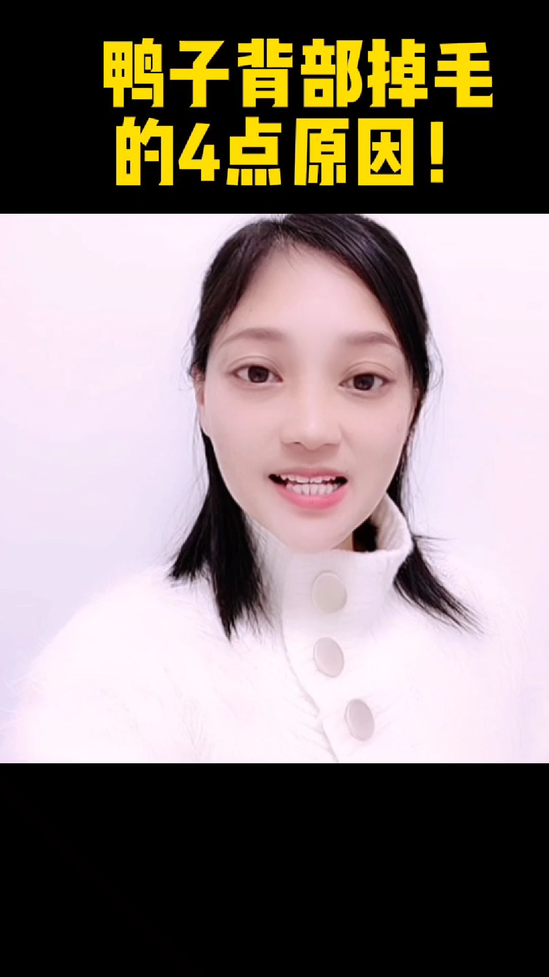 鸭子背部掉毛的4点原因!