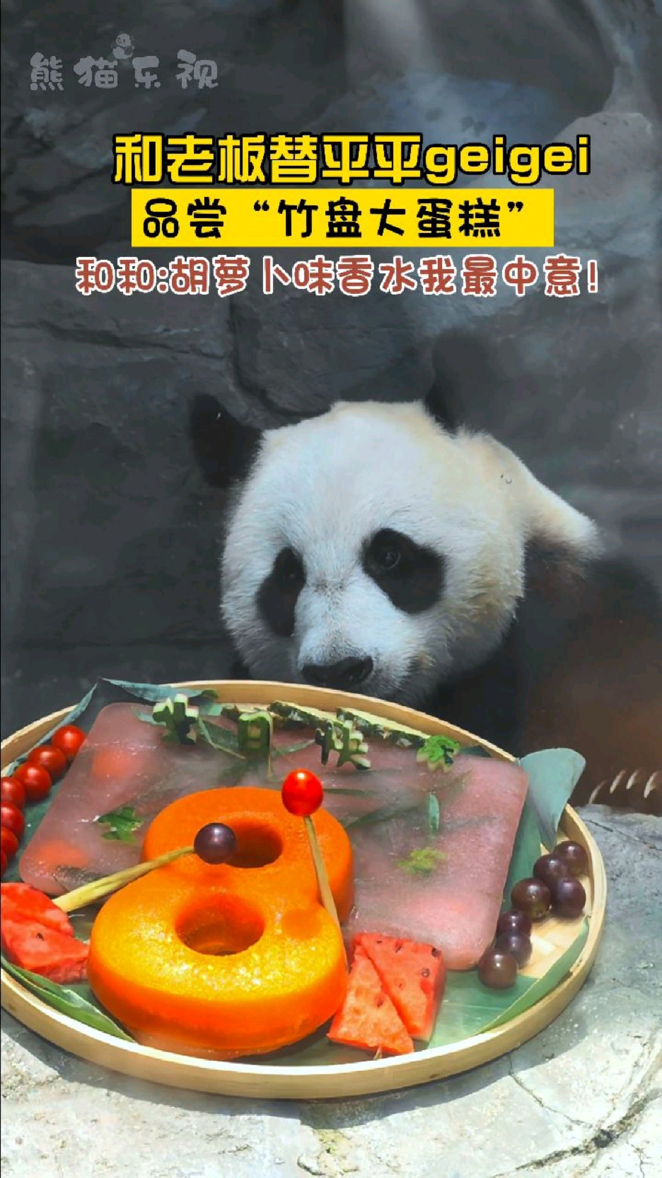 【大熊猫和和】竹盘蛋糕太硬差评,冰蛋糕太凉差评,胡萝卜“香水”最中意!