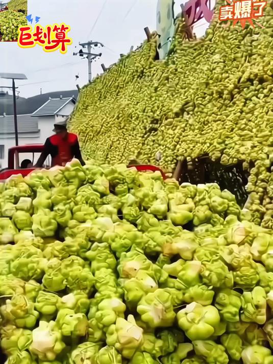 正宗涪陵榨菜丝美味下饭菜真的太好吃了！