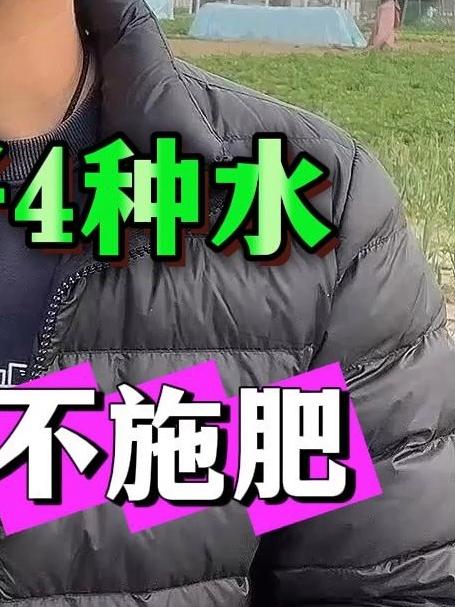 种菜配好4种水蔬菜再也不施肥