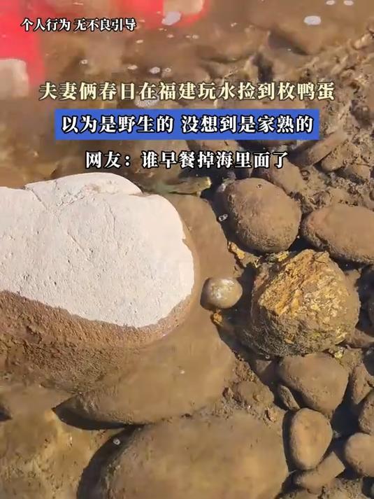 夫妻俩春日在福建玩水捡到枚鸭蛋,以为是野生的,没想到是家熟的 网友:谁早餐掉海里面了#花满