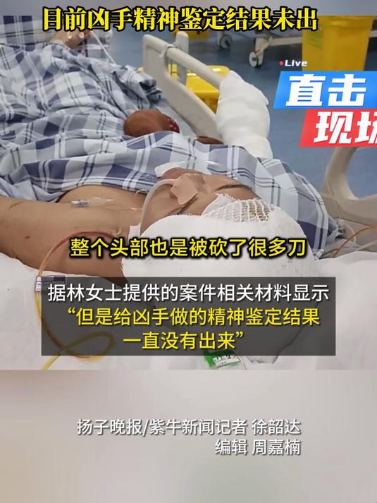 男子借宿同学家却拿菜刀砍人,致两兄弟1死1伤