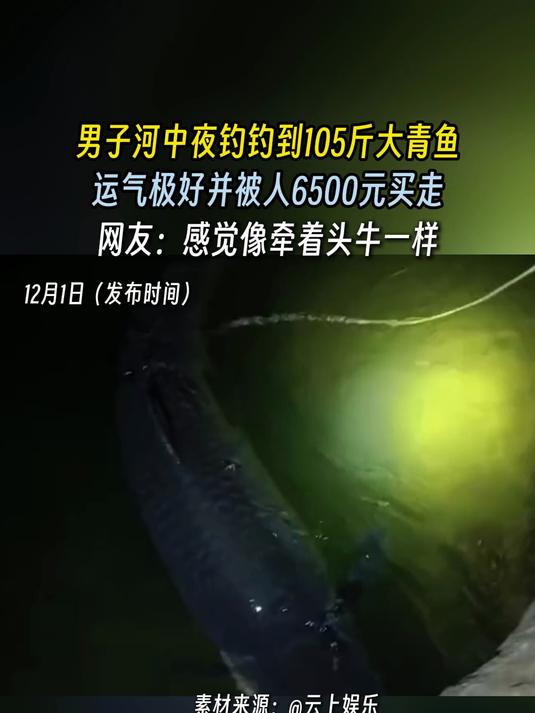 男子河中夜钓钓到105斤大青鱼