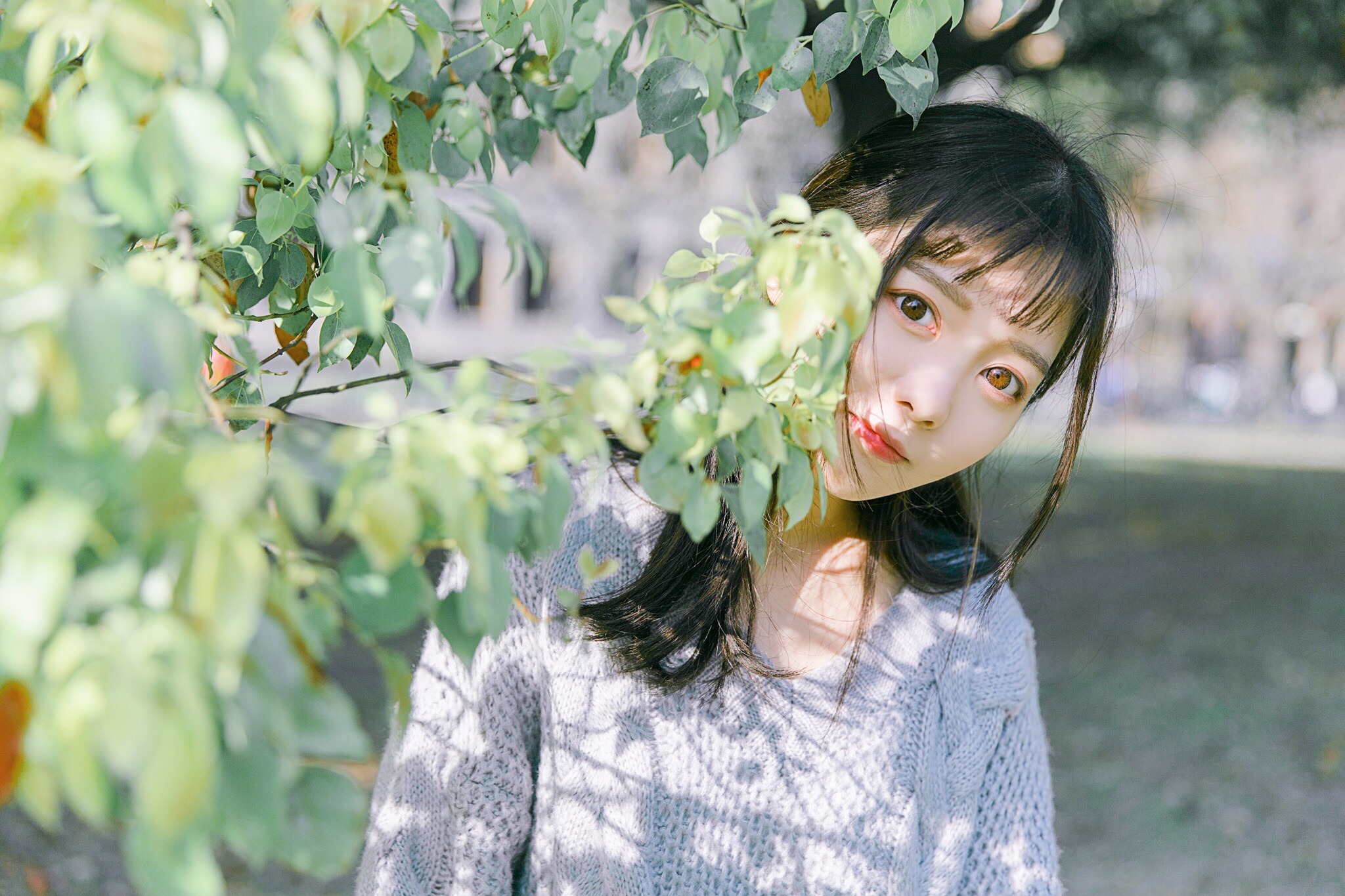 图片[24]-青柠女孩-六色网