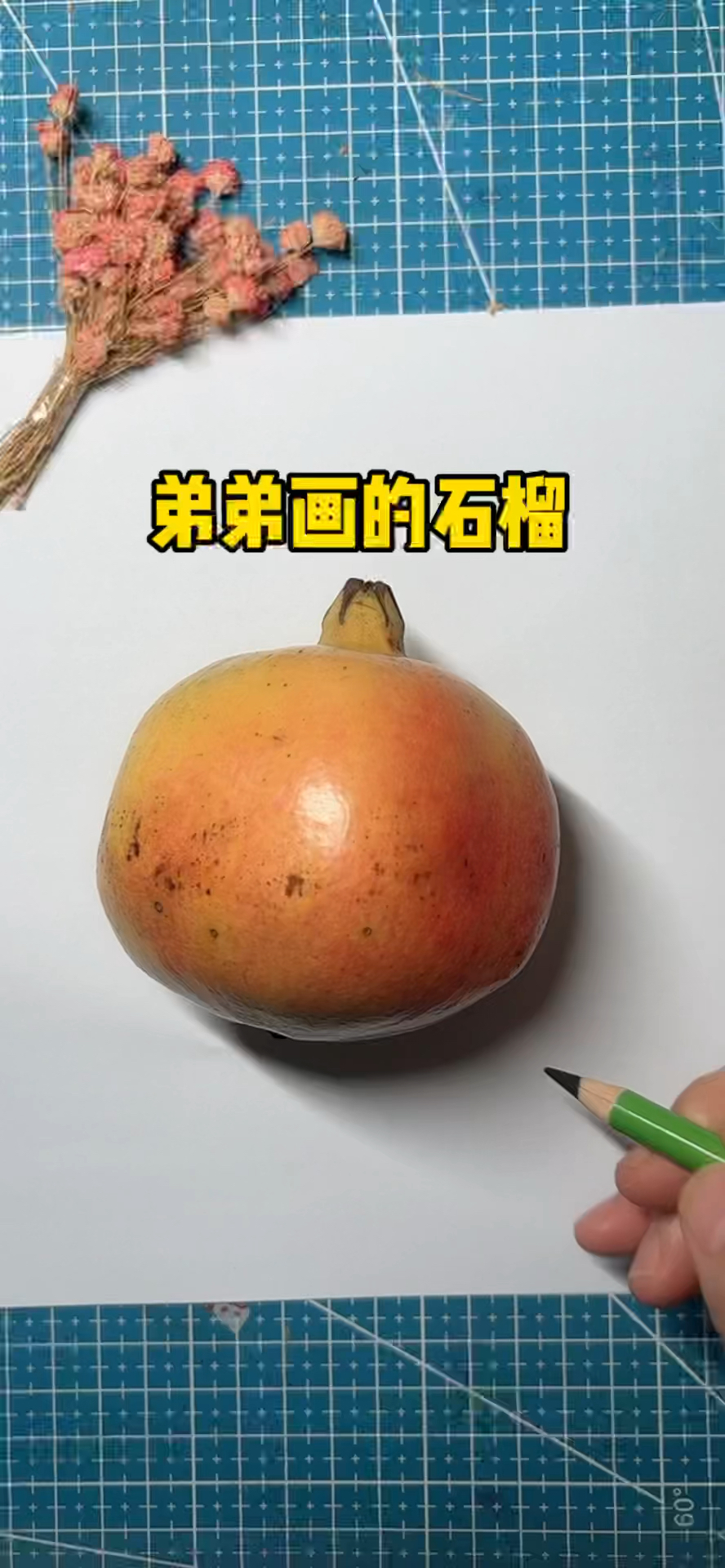 弟弟画的石榴,和我用彩铅画的石榴,你喜欢谁画的?