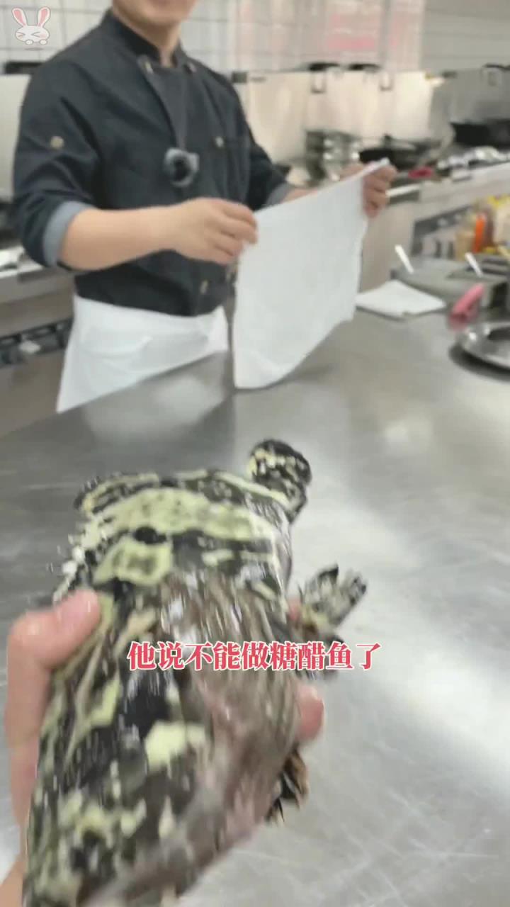 今天客人拿了一条石斑鱼过来给我加工,嘱咐我要以最简单的烹