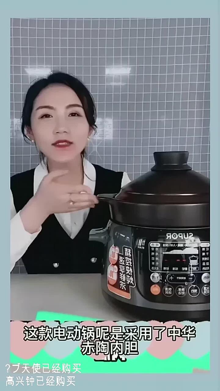 苏泊尔电炖锅电炖盅煲汤锅炖汤锅煮粥锅精控快速