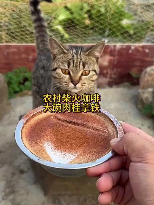 农村柴火咖啡,手工肉桂拿铁