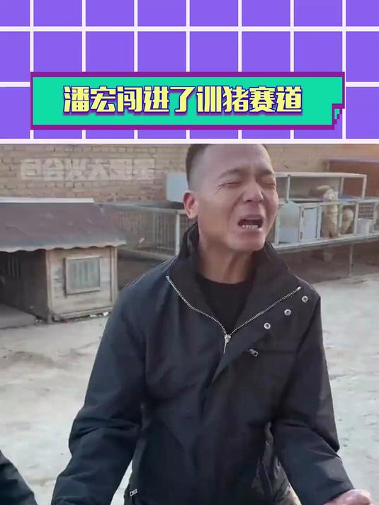 潘宏最近训狗改训猪 原来原因这么抽象啊!