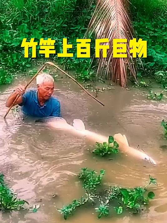 摘抄文艺生活碎片文案发圈_多处语句和全网热门文案高度重合