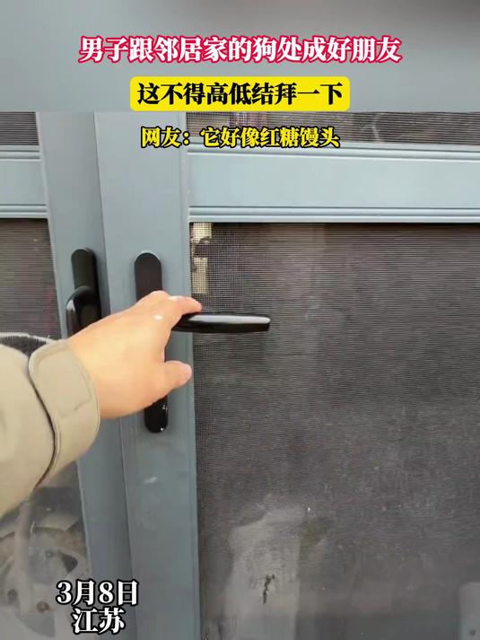 男子跟邻居家的狗处成好朋友,“这不得高低结拜一下”