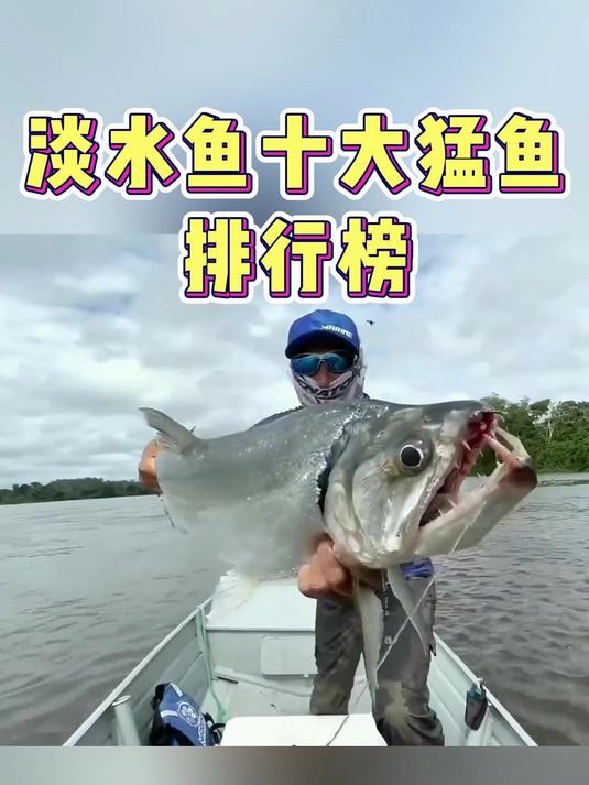淡水鱼十大猛鱼排行榜