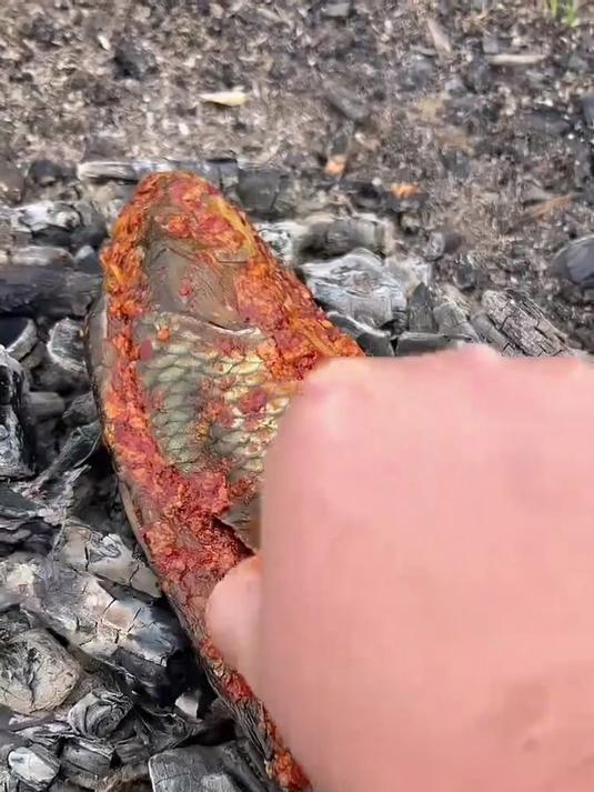 鱼烤焦了还能吃吗