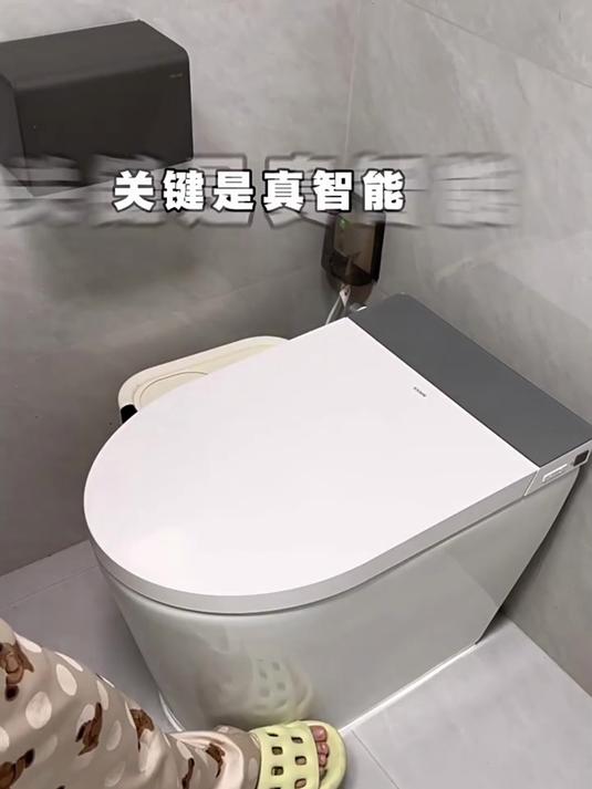 浪鲸小鲸盾智能马桶