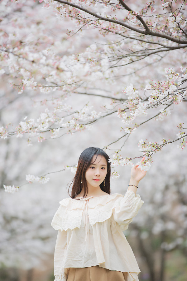 图片[13]-三生三世，百里樱花-六色网